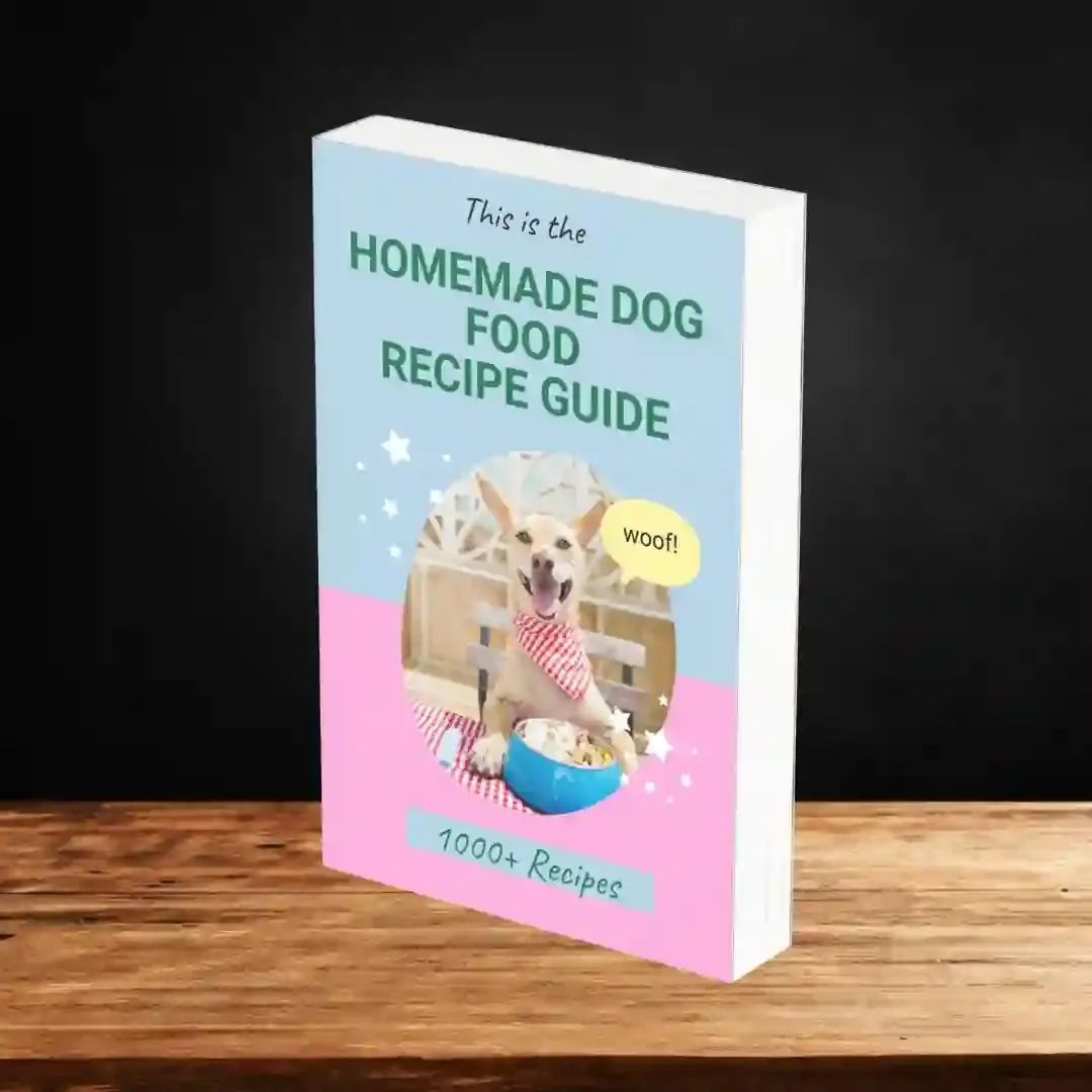Homemade Dog Food Recipe Guide